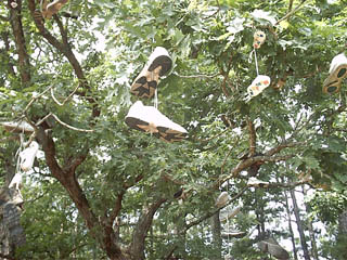 Shoe Tree
